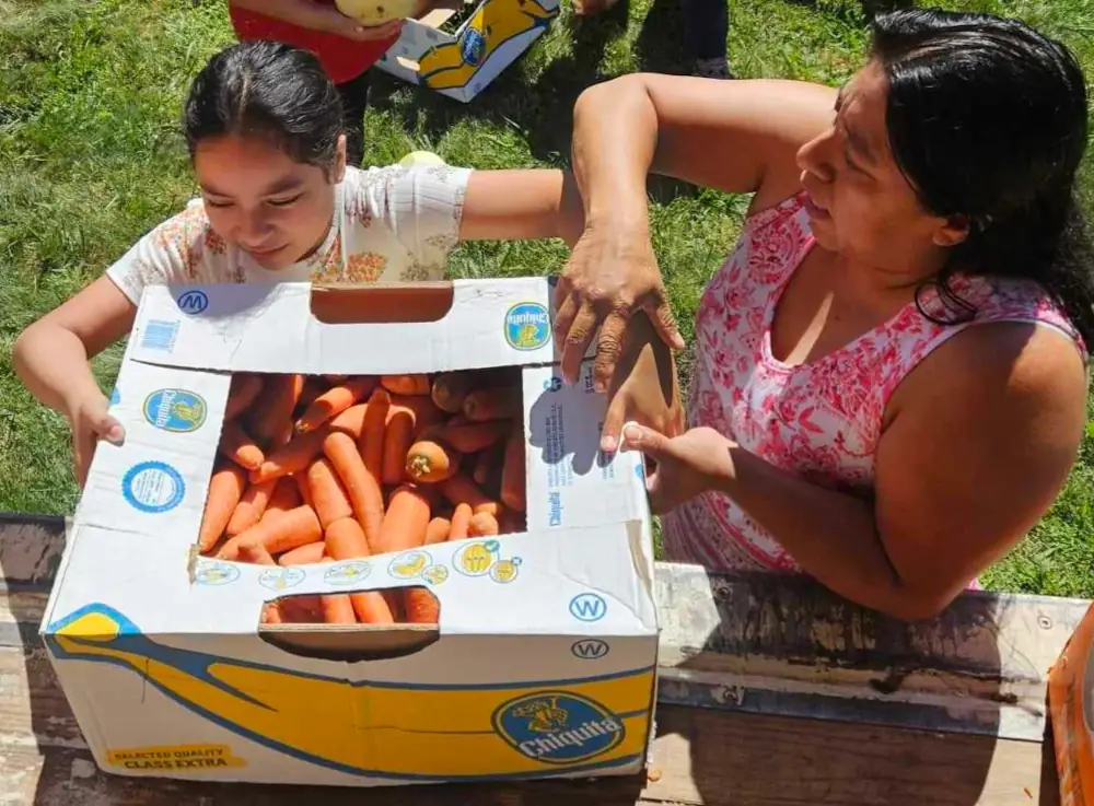 2 people with a box of carrots