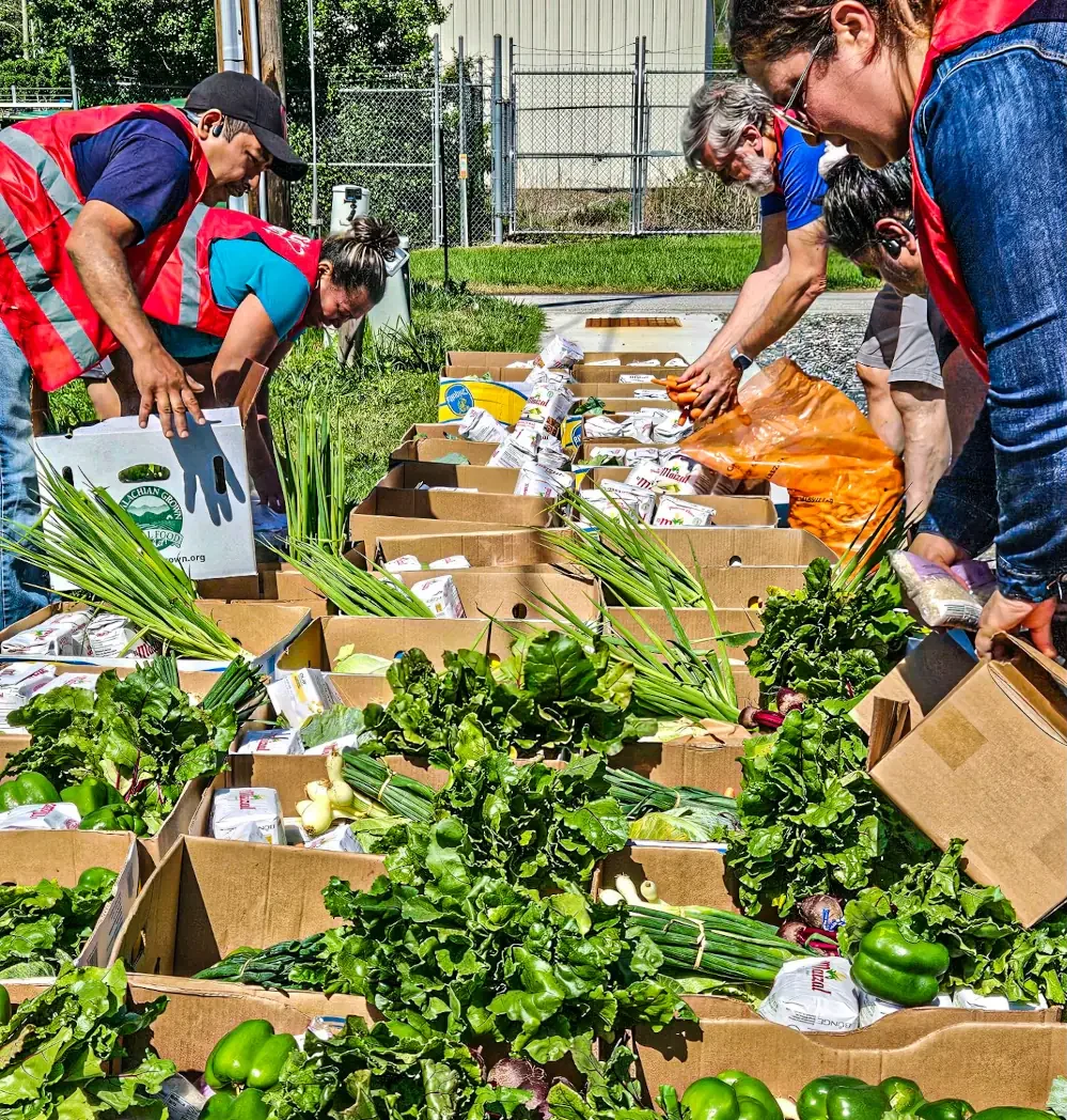 A group of volunteers organizing varius greens in boxes