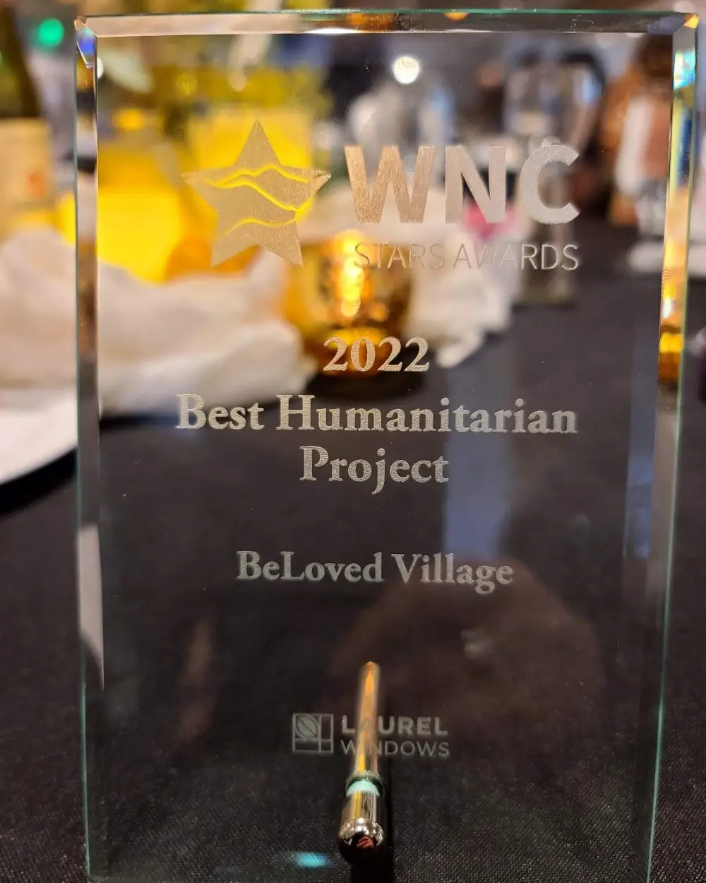 WNC Humanitarian of the Year