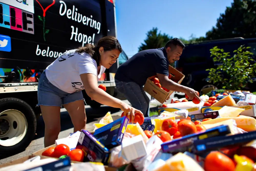 Gathhering tomato for food supplies in Asheville